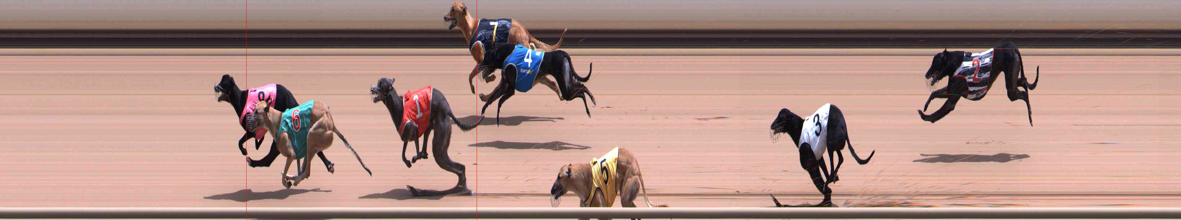 Race result finish photo